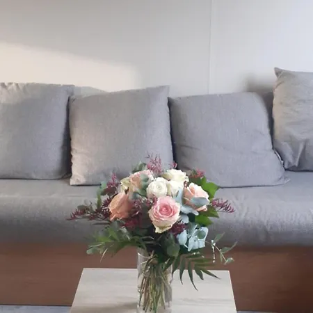 مكان تخييم Mobil-home 28 M2, 2 Et Terrasse *